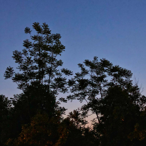 Night Changes（翻自 One Direction）