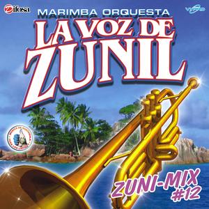 Zuni - Mix Marimba Pura: Cuando Cae la Lluvia / Las Sandalias del Hermano Pedro / Qué Te Ha Dado Esa Mujer