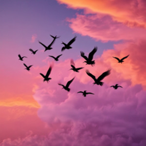 Vuelo de Libertad