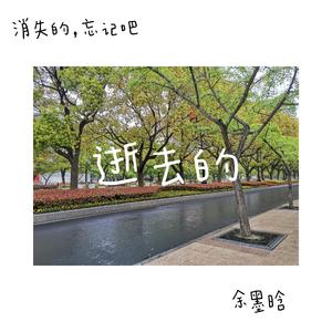 寂寞让我如此美丽