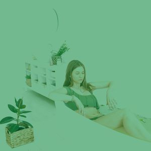 温和排毒梦想