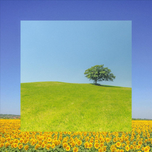 Mystery Boy (feat. Lauren Ahleeza)