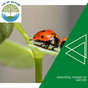 Colorful Memories of Waves