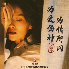 为爱伤神为情所困 (DJ默涵版)