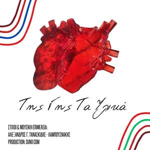 Άγρια Μέλισσα