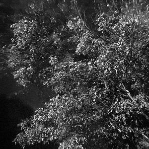 Treason (feat. DmsTrey)