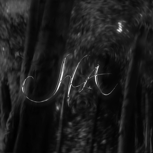 KÝ ỨC VĨNH VIỄN