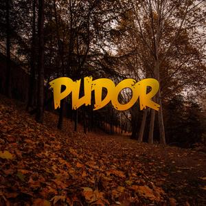 Pudor