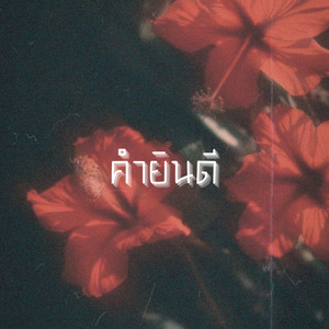 คำยินดี