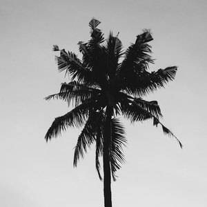 Lonely Boy with a Toy Ukulele