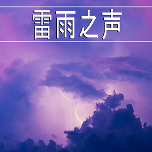 雷雨之声,29部