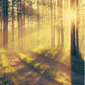 You & I ( Slow Re Edit )