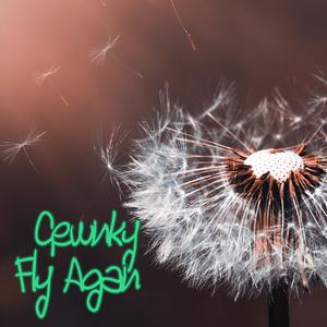 Fly Again