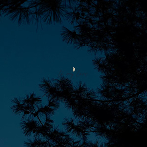 My Love Mine All Mine