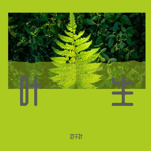 光的战役(弹唱)
