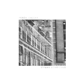 Supermercado (Capitalismo Me Dueles)