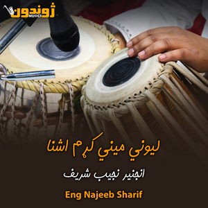 Da Keso Pa Sar Pa Khalgo Ke Greftar So