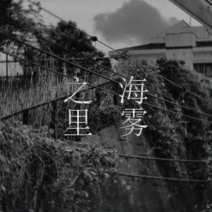 昨日绽开的花怎么今天就枯萎了