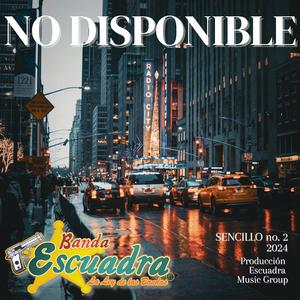 No Disponible