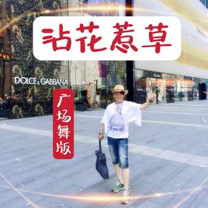沾花惹草（广场舞版）