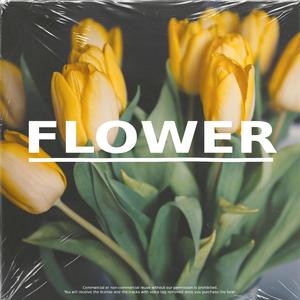【Free】R&B Type Beat "Flower"