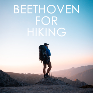 String Quartet No. 3 in D Major, Op. 18 No. 3:II. Andante con moto