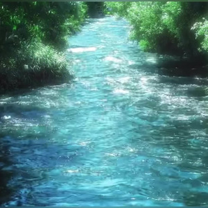 xutuja