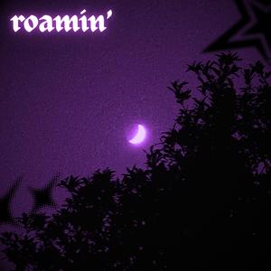 roamin'