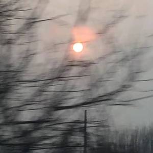 我不是你的宋冬野