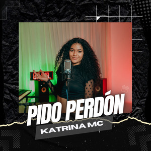 Pido Perdon