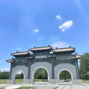 柳林，再见
