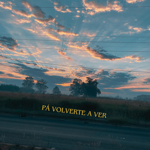 Pa Volverte a Ver