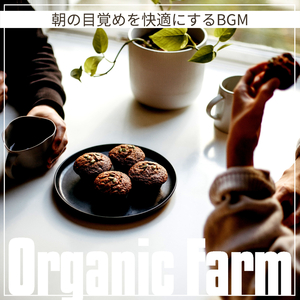 Grooves in the Street