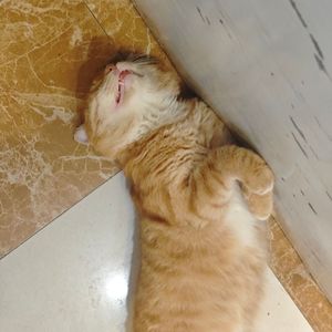 吉米-一场绵密的雨.WAV