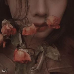 在清冷的月光下