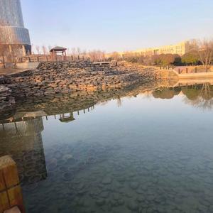 雨天里的季节性想念