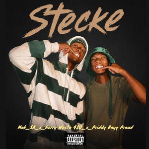 Stecke (feat. Berry Westa 420 & Priddy Boyy Proud)