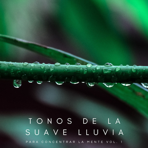 Lluvia Relajante