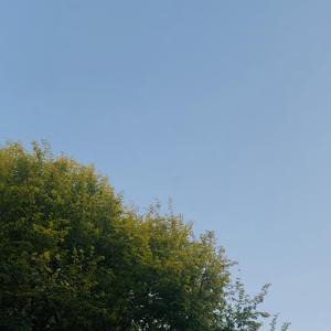 星星和太阳