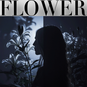 Solitary Streetlight 孤独的灯火