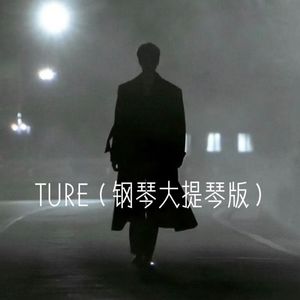 TRUE-与恶魔有约钢琴小提琴版