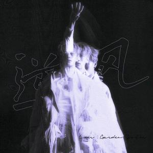 逆风（男声版）（电视剧《东方茱丽叶》主题曲）