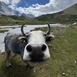 海边的秘境之旅