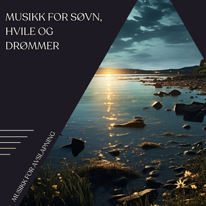 Serenade Under Starry Night