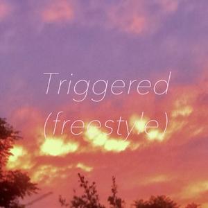 Triggered(freestyle)