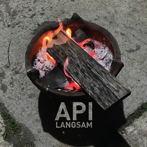 Api