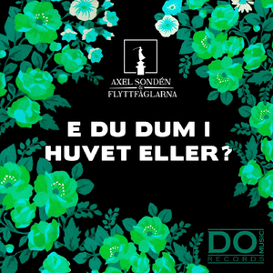 E Du Dum I Huvet Eller?