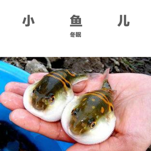 一生回味.一面.一生回味.一面