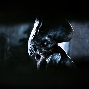 This is an Extermination