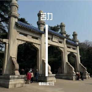 苦了